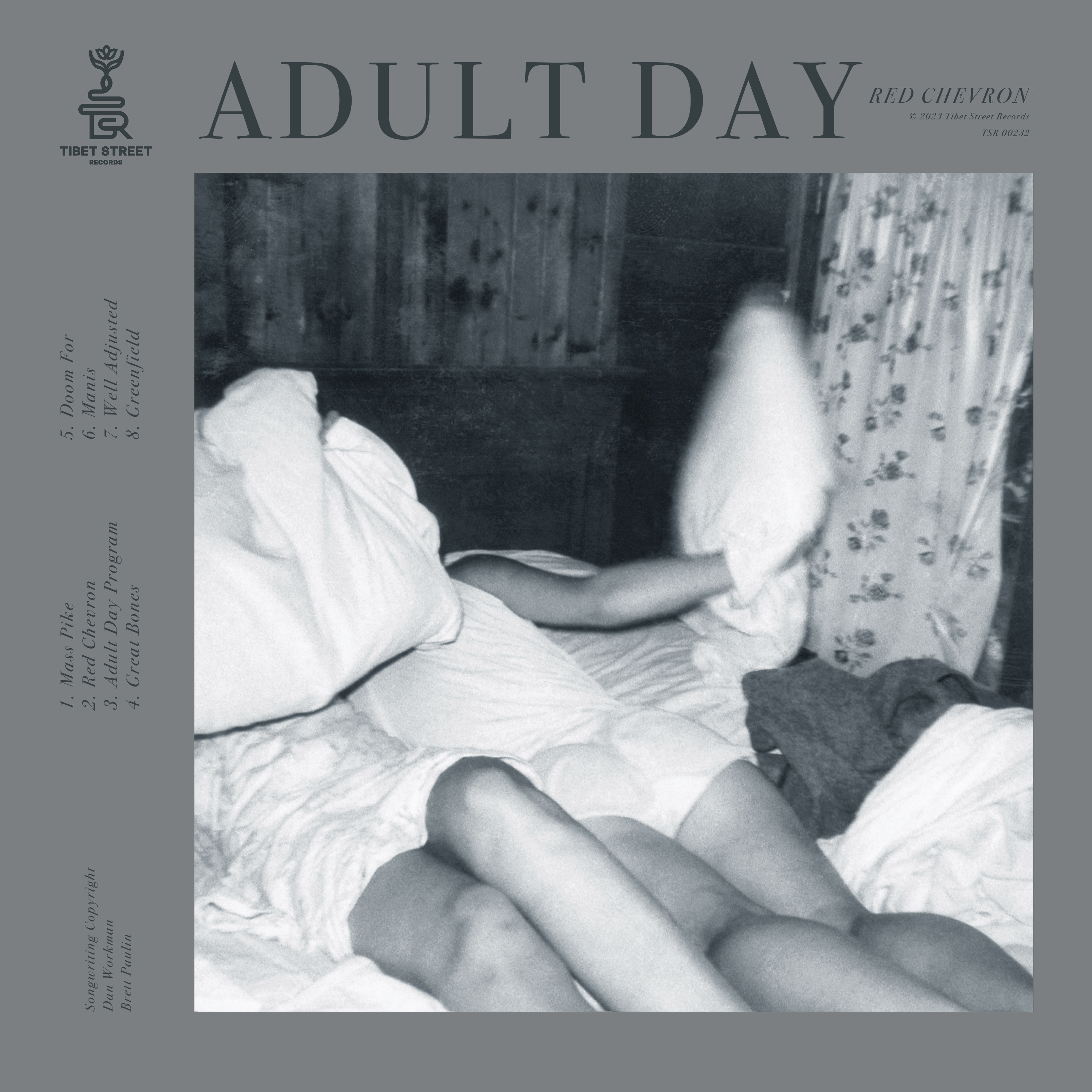 Adult Day--Red Chevron cover art